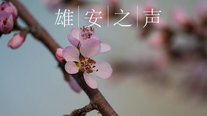 【新金宝官方网站入口之声】20200326