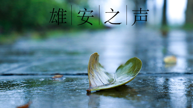 【新金宝官方网站入口之声】20200409