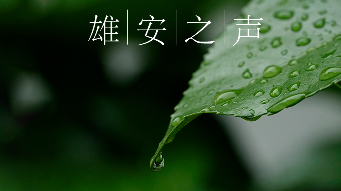 【新金宝官方网站入口之声】20200410