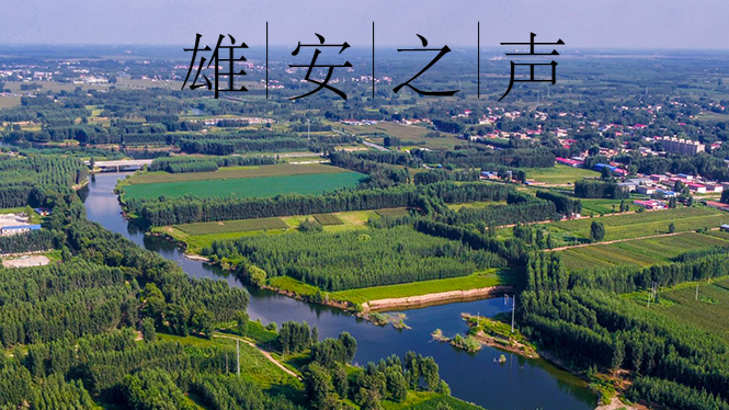【新金宝官方网站入口之声】20200413