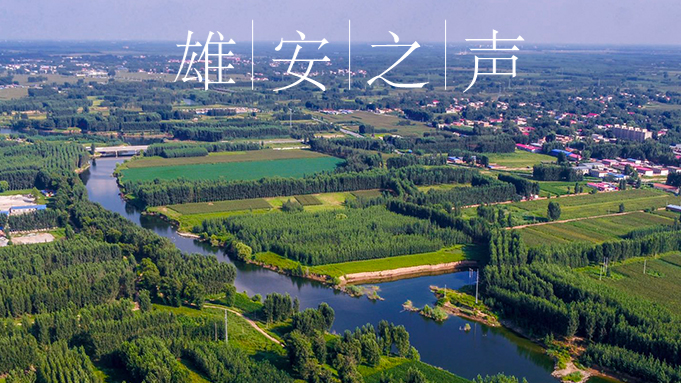 【新金宝官方网站入口之声】20200416