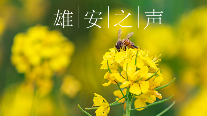 【新金宝官方网站入口之声】20200417