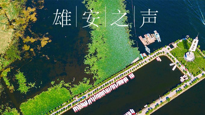 【新金宝官方网站入口之声】20200420