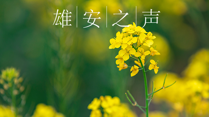 【新金宝官方网站入口之声】20200421
