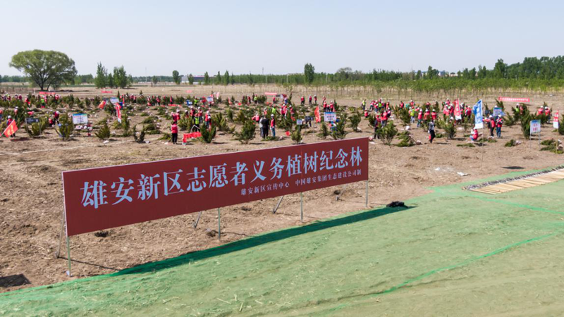 新金宝官方网站入口新区开展“播种希望 植绿新金宝官方网站入口”志愿服务活动