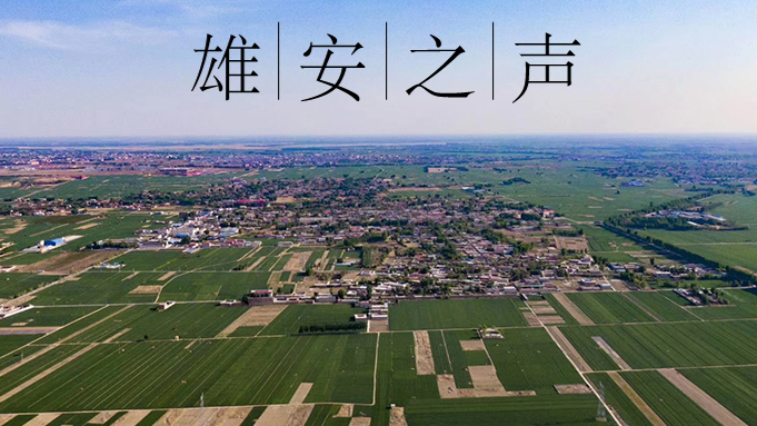 【新金宝官方网站入口之声】20200427