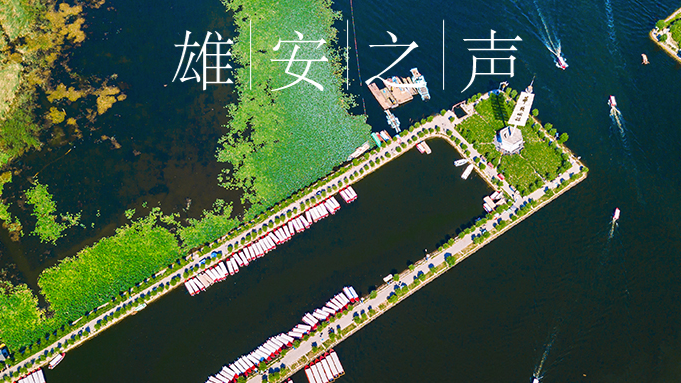 【新金宝官方网站入口之声】20200430