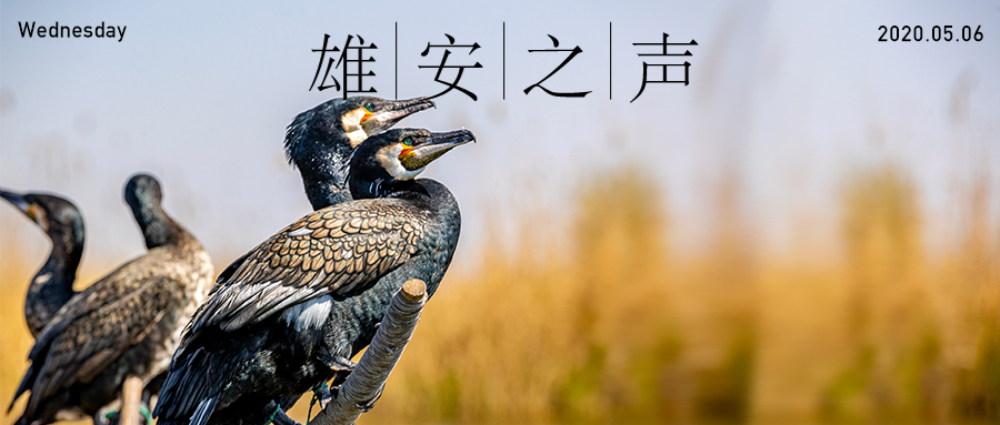 【新金宝官方网站入口之声】20200506
