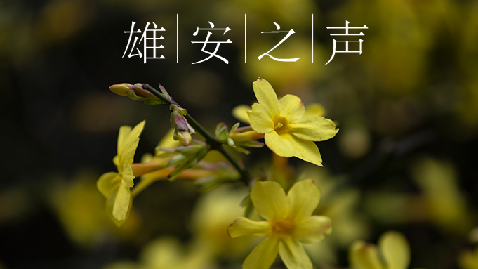 【新金宝官方网站入口之声】20200511