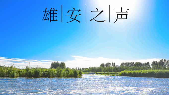 【新金宝官方网站入口之声】20200512