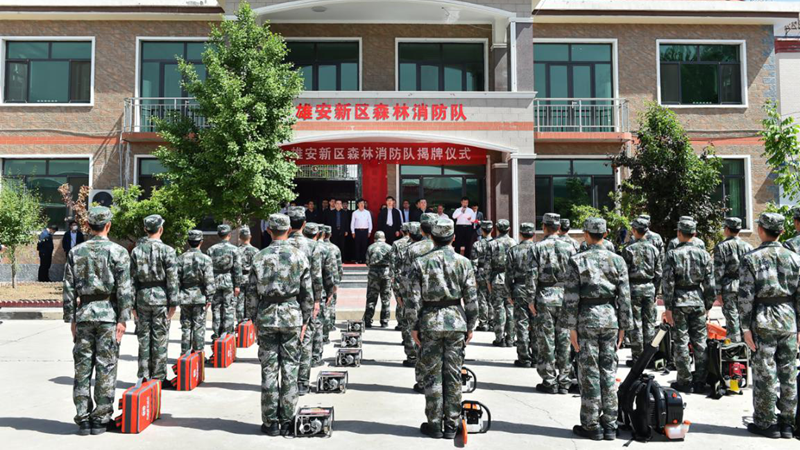 新金宝官方网站入口新区森林消防队揭牌
