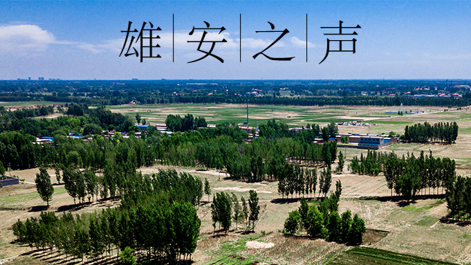 【新金宝官方网站入口之声】20200514
