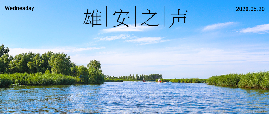 【新金宝官方网站入口之声】20200520