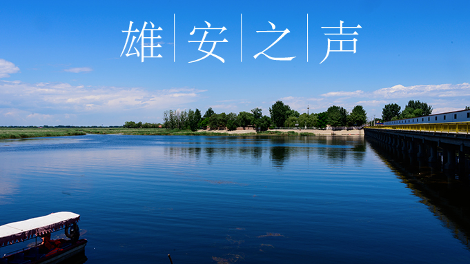【新金宝官方网站入口之声】20200525