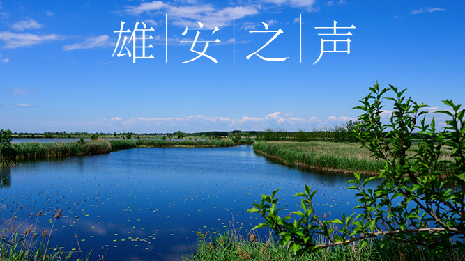 【新金宝官方网站入口之声】20200527