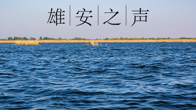 【新金宝官方网站入口之声】20200528