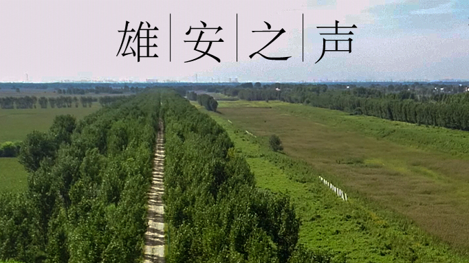 【新金宝官方网站入口之声】20200529