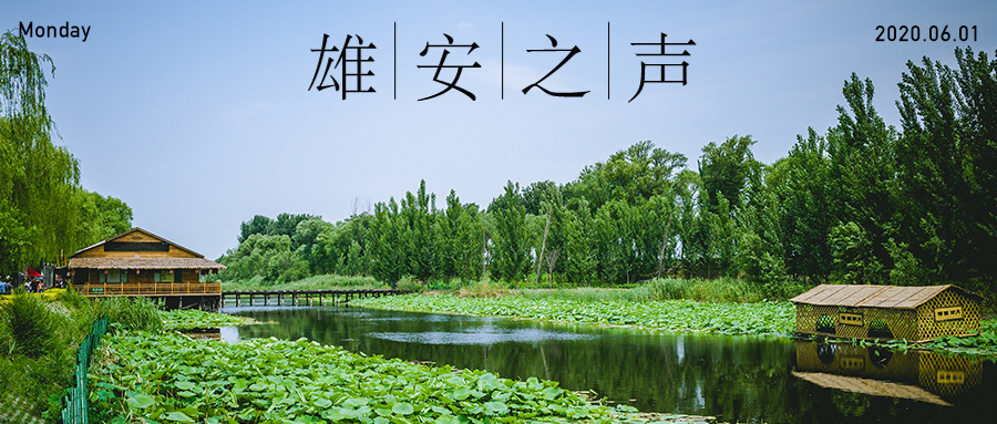【新金宝官方网站入口之声】20200601