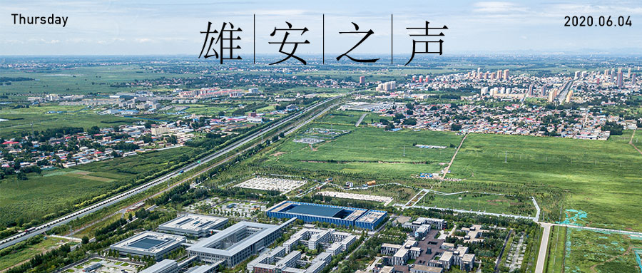 【新金宝官方网站入口之声】20200604
