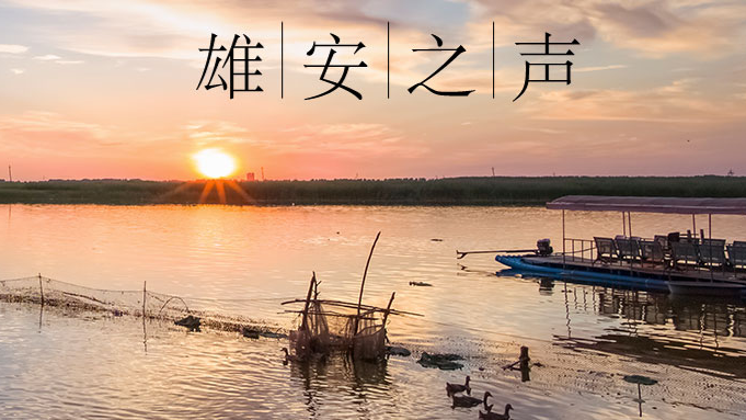 【新金宝官方网站入口之声】20200618