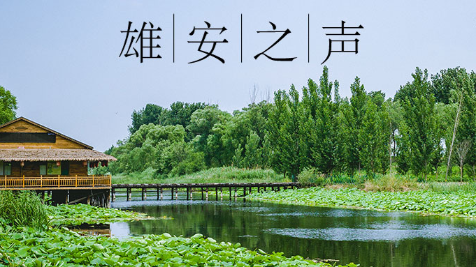 《新金宝官方网站入口之声》20200707