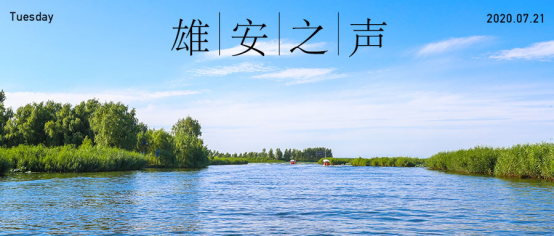 【新金宝官方网站入口之声】20200721