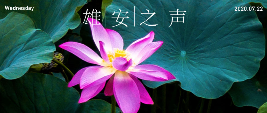【新金宝官方网站入口之声】20200722