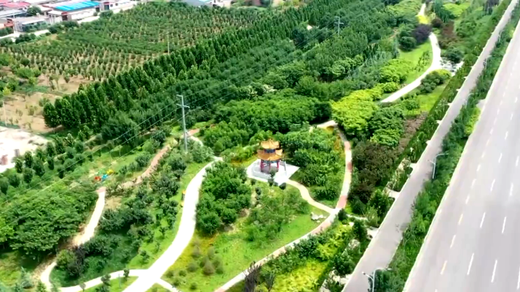 【走向我们的小康生活】辛集：“口袋公园”提升群众幸福感