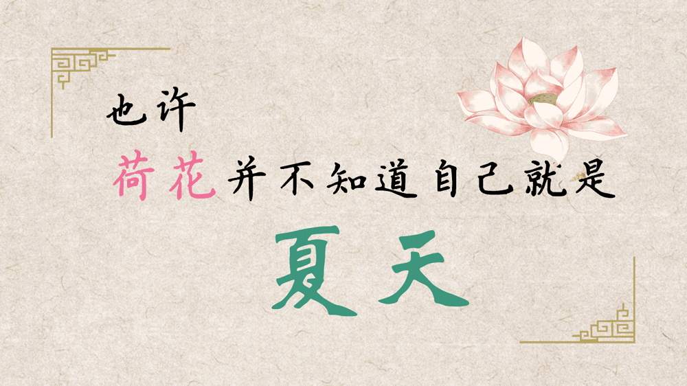 荷花，并不知道自己就是夏天
