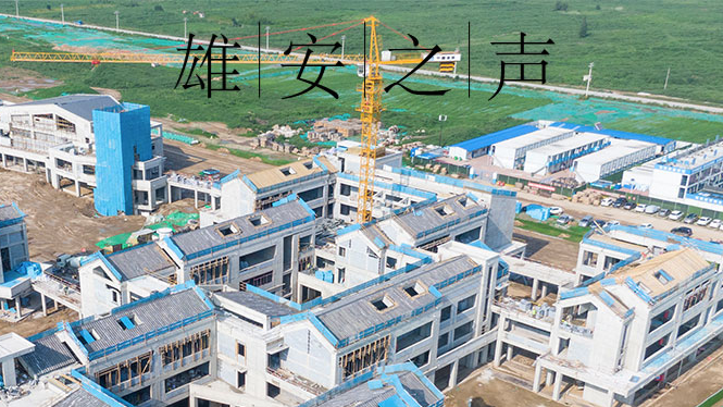 【新金宝官方网站入口之声】20200819