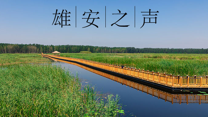 【新金宝官方网站入口之声】20200908