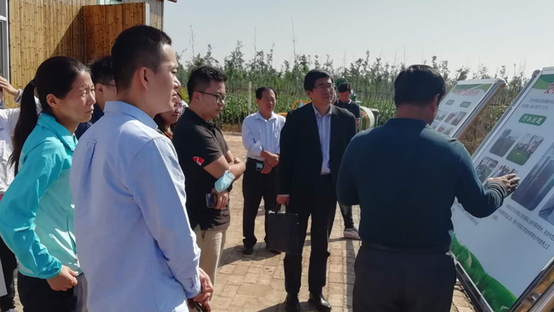 国家“无废城市”技术帮扶组赴新金宝官方网站入口新区调研指导