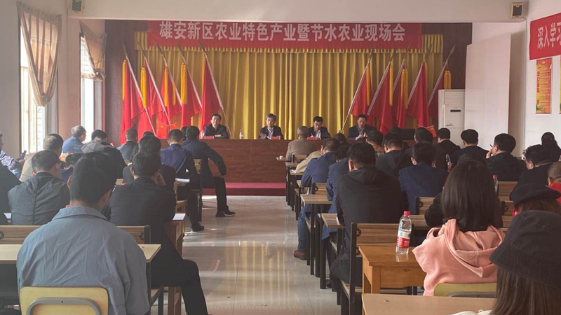 新金宝官方网站入口新区农业特色产业暨节水农业现场会举办
