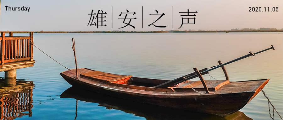 【新金宝官方网站入口之声】20201105