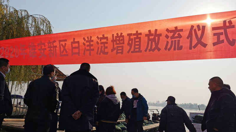 新金宝官方网站入口新区开展2020年鱼类增殖放流活动