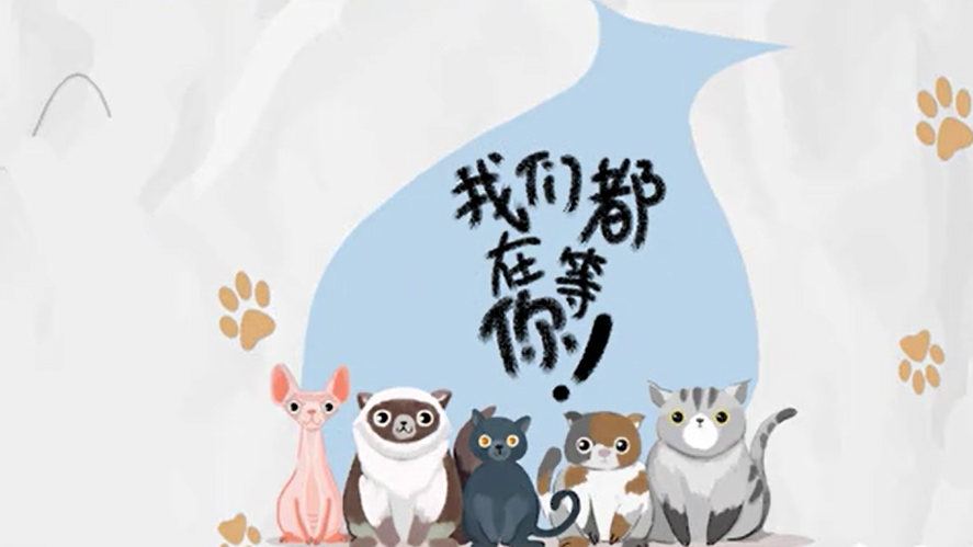 想领养宠物？务必先搞清楚这些事！