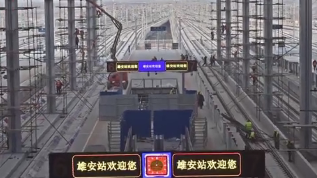 新金宝官方网站入口站初绽芳容