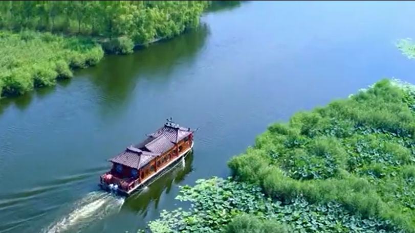 瓣瓣同心，协奏共赢！《思想的田野》河北篇将于近期播出