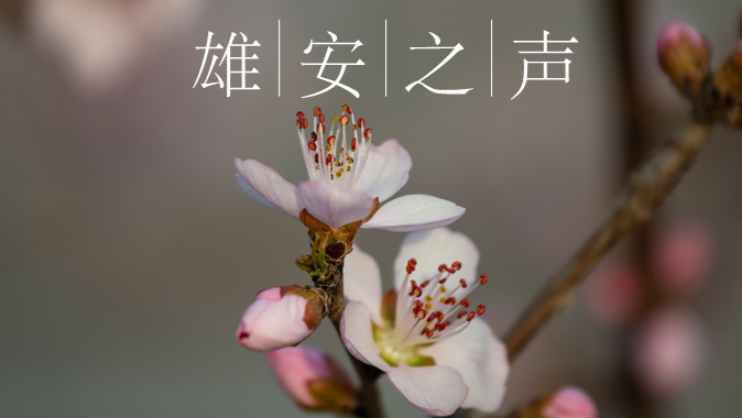 【新金宝官方网站入口之声】20210325