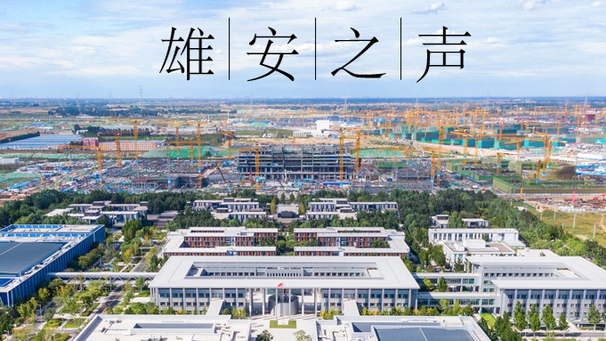 【新金宝官方网站入口之声】20210329