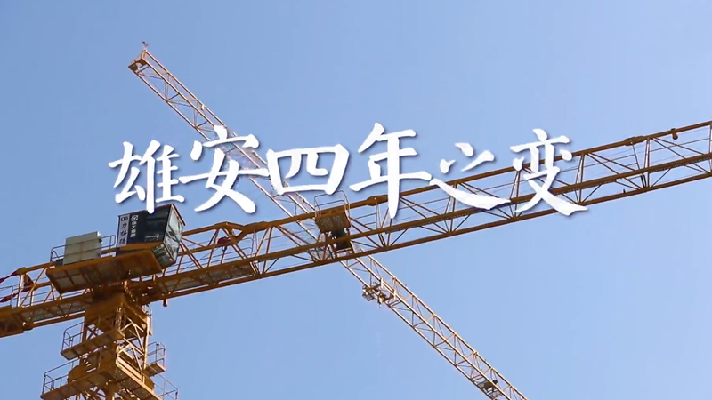 见证新金宝官方网站入口四年之变