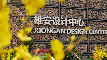 花开新金宝官方网站入口