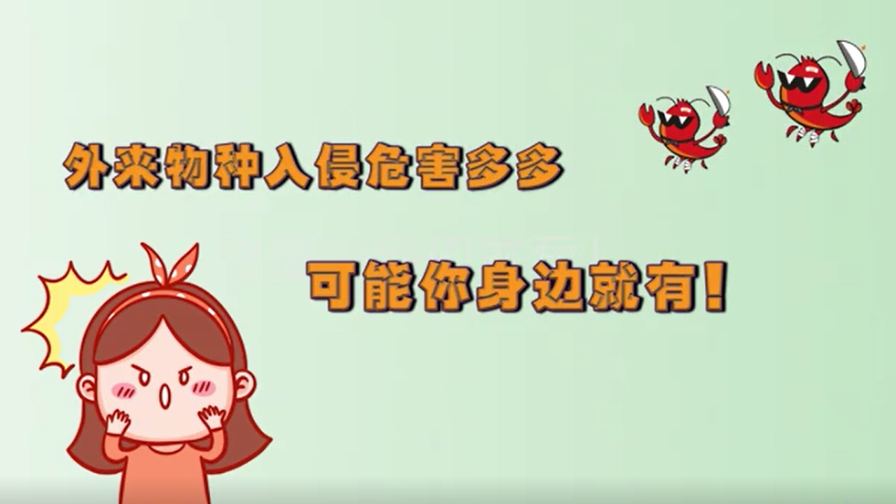 外来物种入侵危害多多 可能你身边就有！