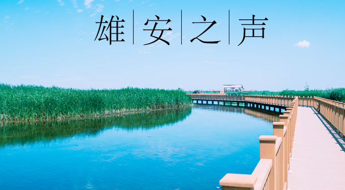 【新金宝官方网站入口之声】20210705
