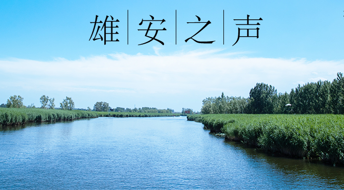 【新金宝官方网站入口之声】20210706