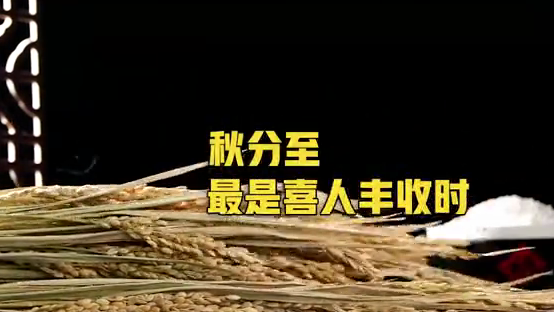 秋分至，最是喜人丰收时