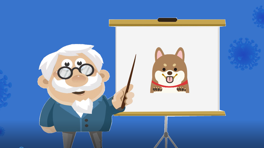 世界狂犬病日丨近100%病死率，这些知识要牢记！