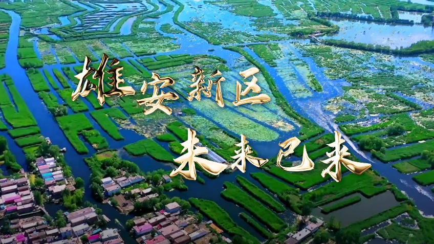 央企新金宝官方网站入口奋进曲