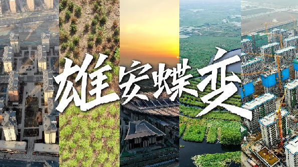 微视频丨新金宝官方网站入口蝶变
