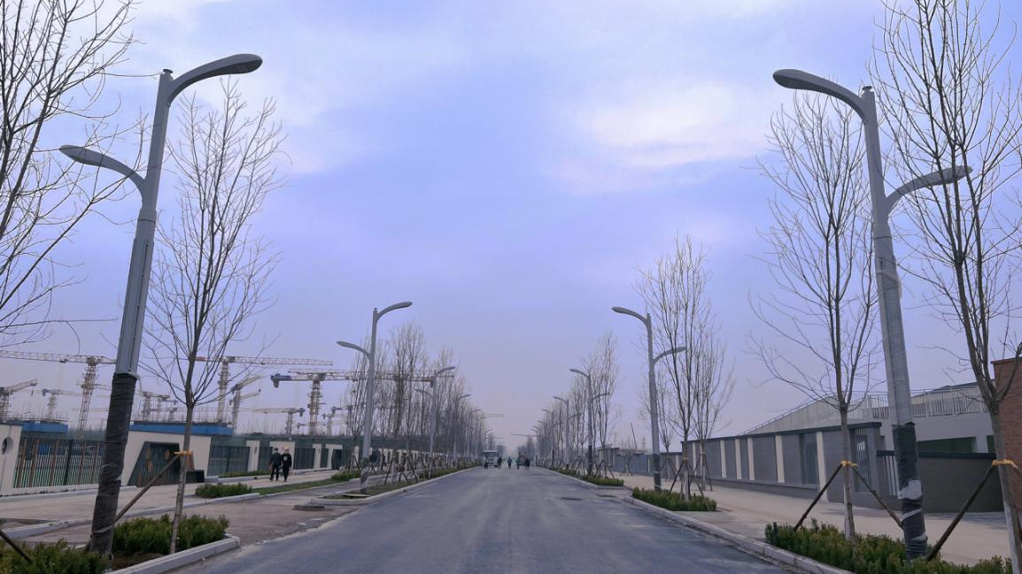看建新金宝官方网站入口丨新金宝官方网站入口新区启动区首批160个智慧合杆亮相